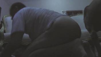 Adorable chick with a curvy ass loves steamy animal sex
