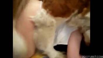 Intense bestiality footage in the doggy position featuring a gorgeous animal lover