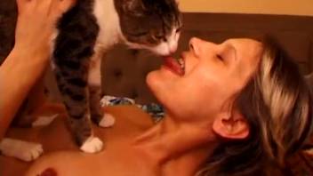 Adorable kitten laps up the moist, spread-wide vagina of a sexy babe